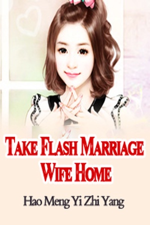 Take Flash Marriage Wife Home