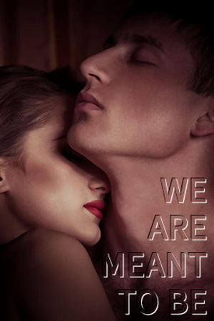 Cover of We Are Meant To Be